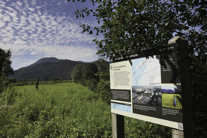 Krajinski park Ljubljansko barje, ki je na južnem pragu glavnega mesta, se v zadnjem času prebuja. FOTO: Jože Suhadolnik/Delo