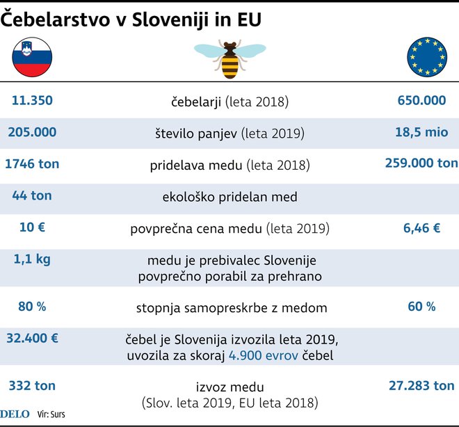 Čebelarstvo v Sloveniji in EU Foto Infografika Delo