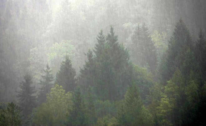 Naše največje naravno bogastvo v Posočju. FOTO: Igor Modic