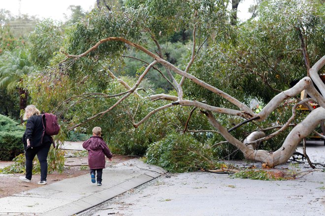 FOTO: Trevor Collens/AFP