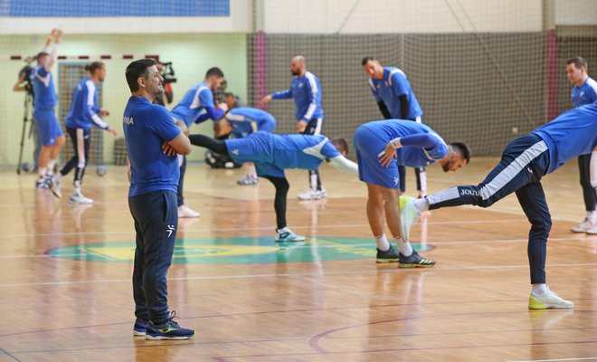 Ljubomir Vranješ bo po dolgem času spet vodil trening Slovencev. FOTO: Tadej Regent