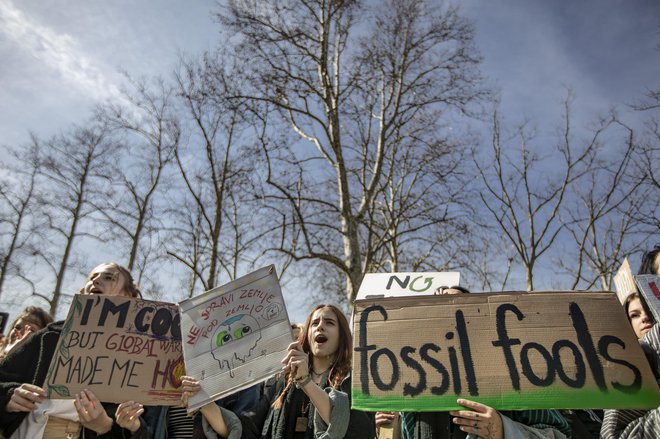 Podnebni štrajk mladih za ohranitev planeta. FOTO: Voranc Vogel/Delo