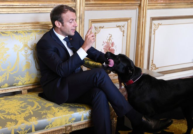 Emmanuel Macron s svojim psom Nemom. FOTO: Reuters