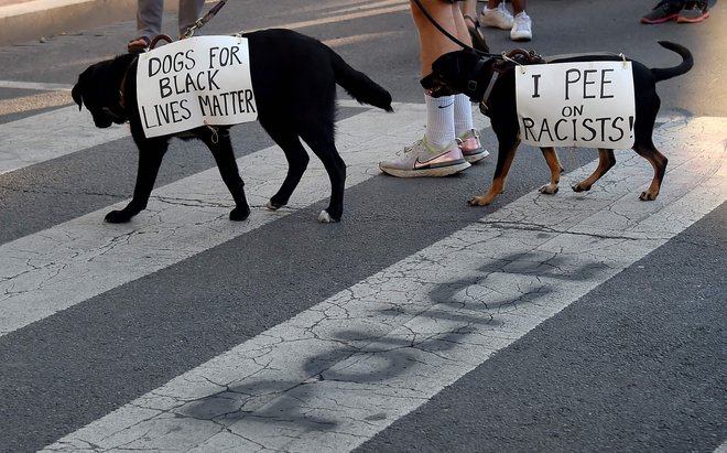 Utrinek s protestov proti rasizmu in policijskemu nasilju v Washingtonu. FOTO: Olivier Douliery/AFP