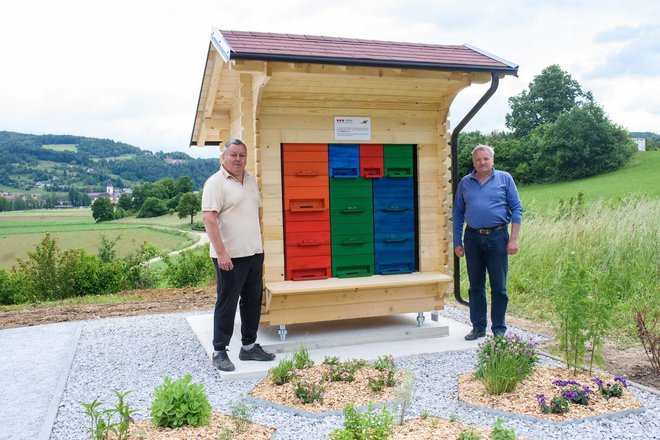 Gospodarja učnega čebelnjaka Anton Kastelic (na fotografiji desno) in Željko Perko bosta zdaj v čebelnjak naselila še marljive žuželke. FOTO: Gašper Stopar