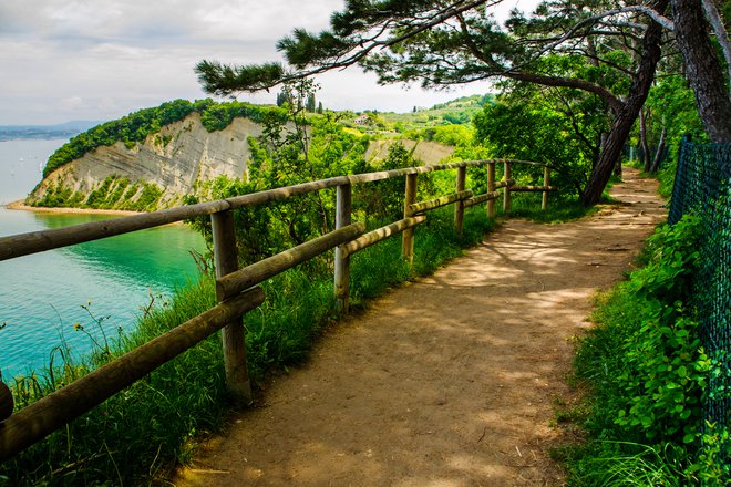 Znašli se boste sredi Krajinskega parka Strunjan, povzpeli se boste na rob najvišjega klifa vzhodnega Jadrana, kjer vam bo dih vzel razgled na Mesečev zaliv. FOTO: Neja Hrovat/Shutterstock