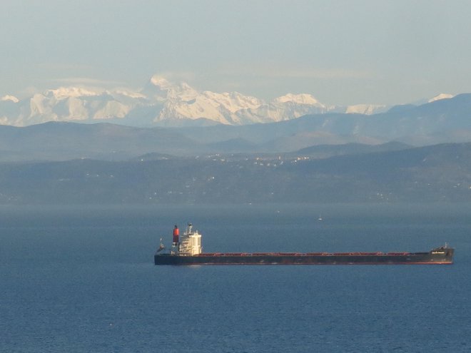 Majhna in odprta ekonomija, kot je slovenska, se mora biti sposobna hitro odzvati na šoke zunaj Slovenije, to pa še poveča potrebo po strukturnih reformah, ki omogočajo bolj fleksibilno in konkurenčno gospodarstvo, poudarjajo v OECD. FOTO: Boris Šuligoj/Delo