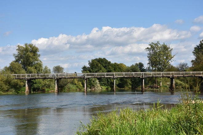 Sto osem metrov dolg leseni most bodo obnovili. FOTO: Občina Brežice