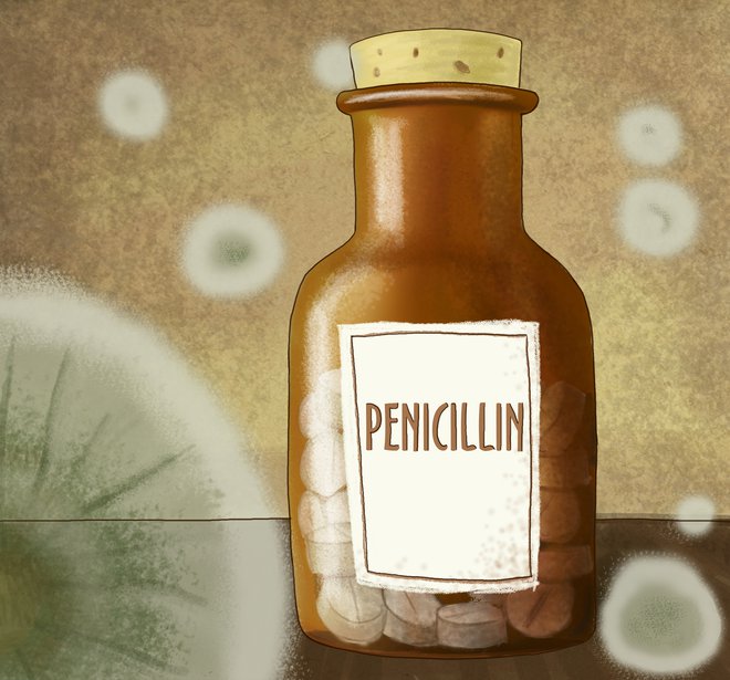 Penicilin je prvi antibiotik, zaradi razširjenosti in pogoste uporabe pa je bistveno manj učinkovit kot ob odkritju. FOTO: Shutterstock