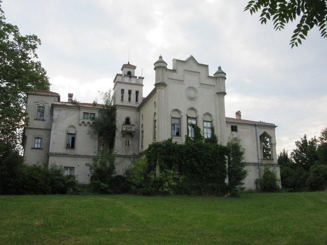 Dvorec Jelšingrad, v katerem sta dva izjemna orientalska stropa, nujno potrebuje obnovo. FOTO: Špela Kuralt/Delo