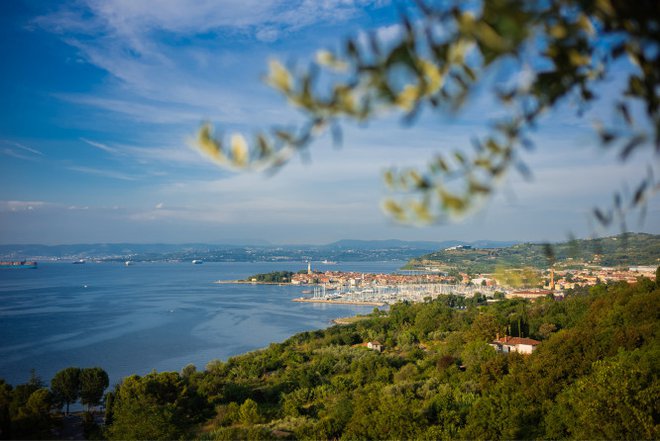 Od kod se tako lepo vidi Izola? FOTO: Vizitizola.si