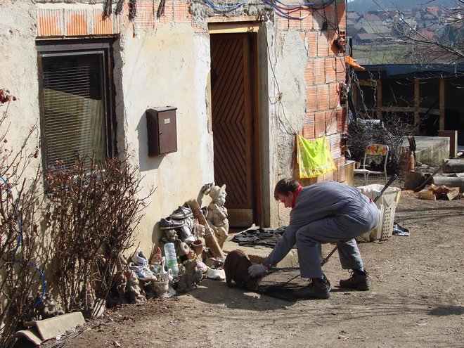 Romsko naselje Žabjak v Novem mestu. FOTO: Bojan Rajšek/Delo