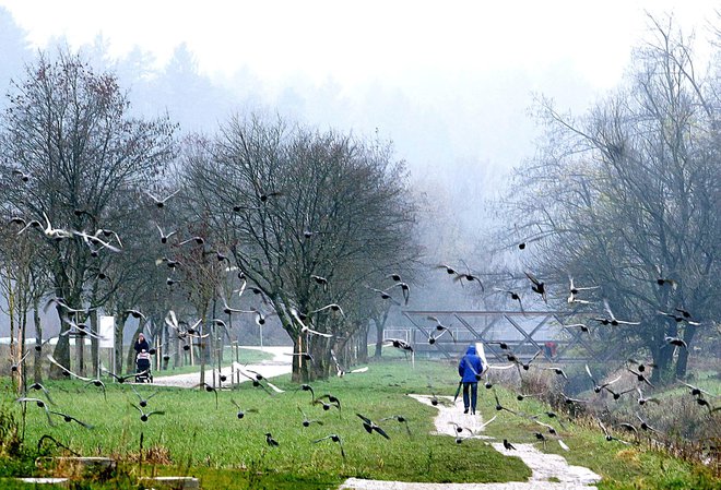 O življenju lahko začnemo razmišljati kot o učilnici, v kateri se ves čas učimo od živih in mrtvih, tistih, ki odhajajo, in tistih, ki prihajajo. Foto Ljubo Vukelič