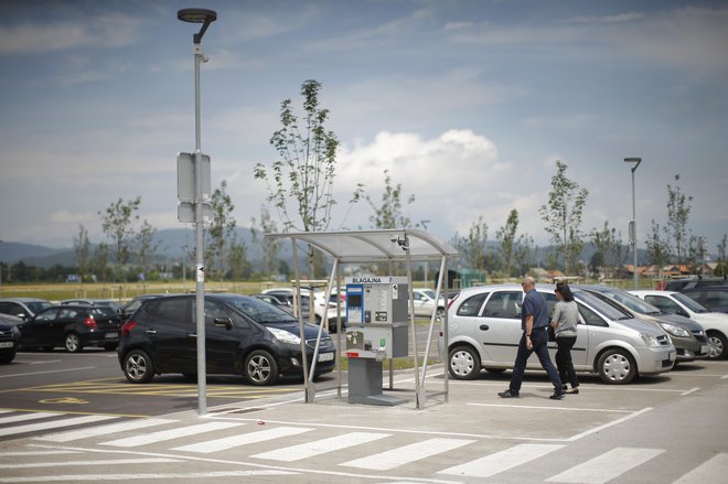 Na Žalah so odstranili skupino starih dreves in poskrbeli za novo ozelenitev z mladimi. FOTO: Jure Eržen/Delo