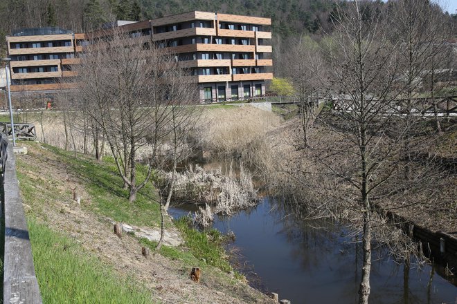 Do jeseni bodo Črnuški bajer spremenili v prijetno točko za sprehajalce. FOTO: Tomi Lombar/Delo