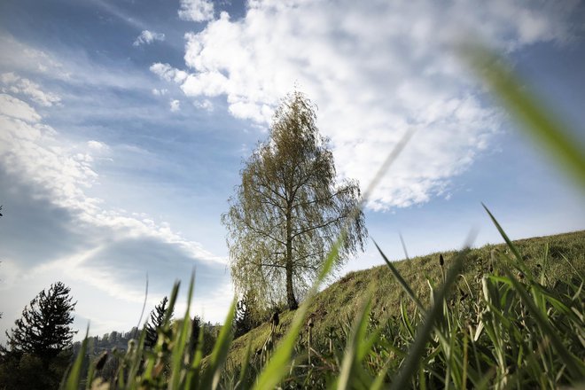 Diagnoza rak ti da misliti, kaj je v življenju pomembno in kaj ne. FOTO Jure Eržen/Delo