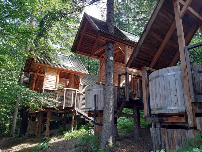 Kakor gobe so med drevesi posejane lesene hiške s svojimi malimi terasami. FOTO: Mitja Felc/Delo