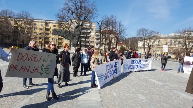 Več kot 200 protestnikov se je zavzelo za Muro brez jezov. FOTO: Borut Tavčar/Delo