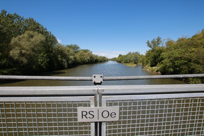 Eno od razširitev Mure ob meji so Avstrijci naredili pri mostu med Črnci in Donnersdorfom. FOTO:Jože Pojbič/Delo