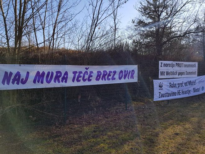 Stroka je že več desetletij soglasna: Mura za gradnjo HE ni primerna, saj gradnja negativno vpliva na naravo in okolje. Foto Oste Bakal