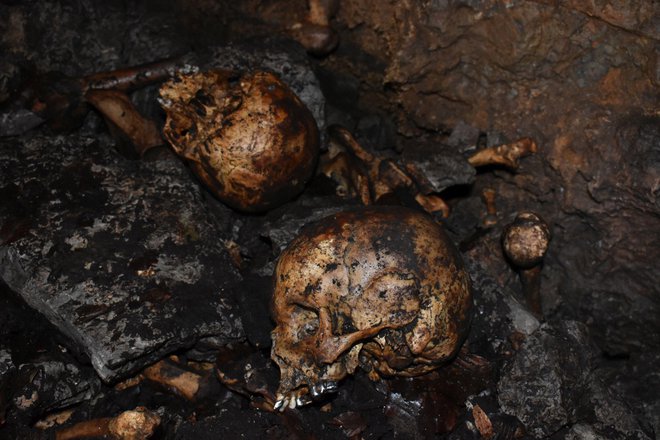 Na kosti so naleteli novomeški jamarji. FOTO: Komisija Vlade RS za reševanje vprašanj prikritih grobišč