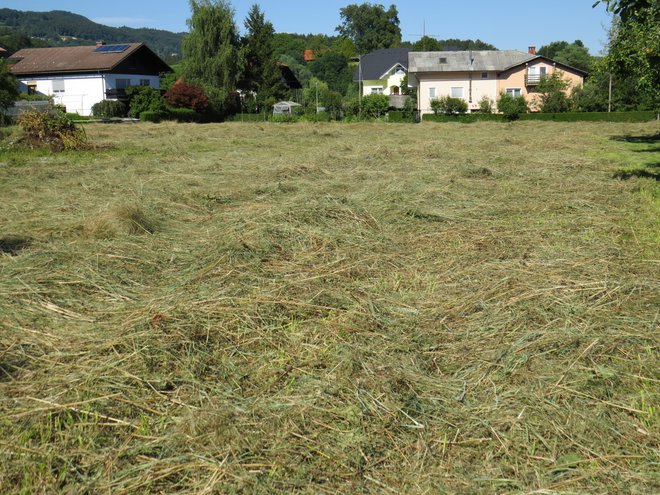 Najprej bodo sredi Moravč pospravili seno, nato pa začeli postavljati zidake za dom. FOTO: Bojan Rajšek/Delo