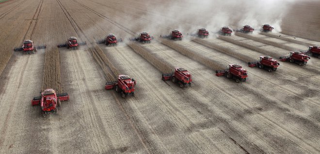 Soja in drugi kmetijski pridelki naj bi bili kamen spotike med velesilama. FOTO: Reuters