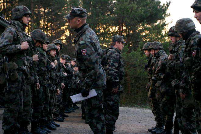 Vlada je potrdila besedilo predloga za podelitev izjemnih pooblastil vojski. FOTO:&nbsp;Šipić Roman