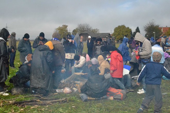 FOTO: Tanja Jakše Gazvoda