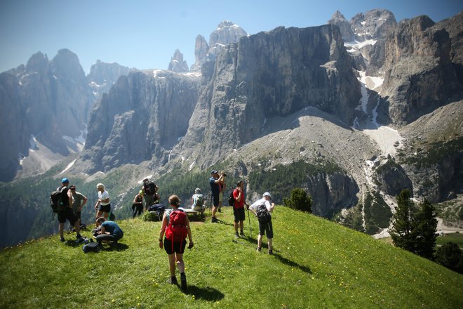 Klopni meningoencefalitis je resno virusno vnetje osrednjega živčevja. FOTO: Jure Eržen/Delo