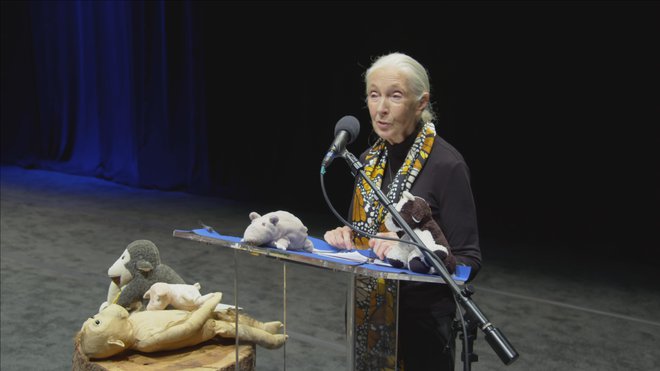 Dr. Jane Goodall FOTO: Chris McCary