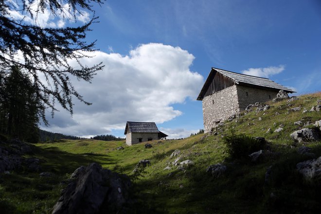 Za zdrs sta nevarna tudi suha trava in v gozdu suho listje, če nanju stopimo s planinske poti na večji strmini. FOTO: Uroš Hočevar/Delo