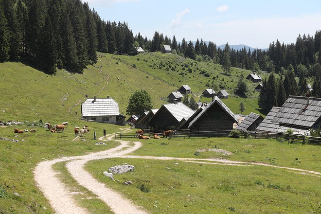 Računajmo, da na eni turi lahko hodimo po gozdu, mokri travi, koreninah, spolzkem blatnem terenu, plezamo po skalah, skobah, prečimo nevarna snežišča, tekajoč sestopamo po več sto metrov dolgem melišču, prečimo potok&nbsp;..&nbsp;FOTO: Dejan Javornik