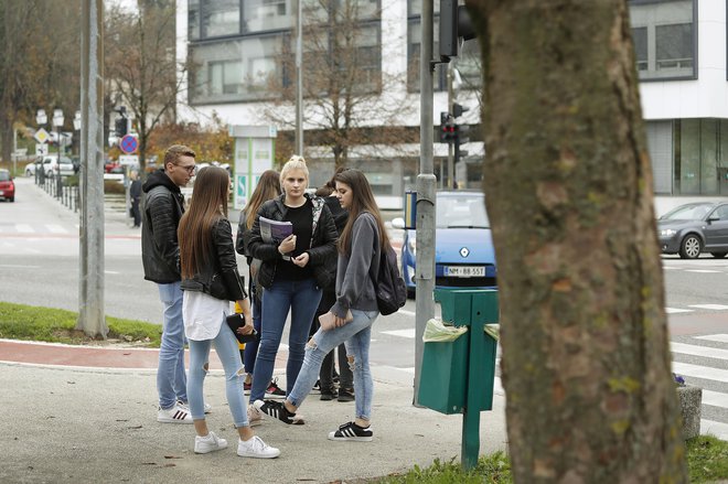 V iniciativi Mladi za podnebno pravičnost so zaskrbljeni za prihodnost sveta, v katerem mladi odraščajo. FOTO: Leon Vidic/Delo