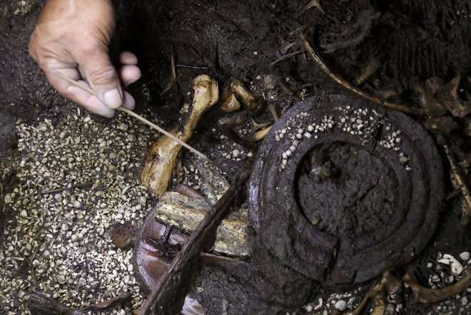 Arheologi so doslej izkopali le okoli desetino pravokotnega kamnitega objekta, v katerem so ob jaguarju in žrtvovanem dečku našli tudi upodobitev metalca kopja in lesen relief z emblemom azteškega božanstva Huitzilopochti. FOTO: Reuters