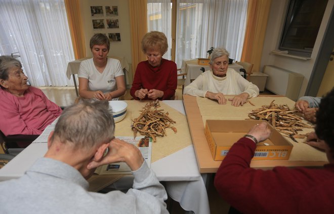 Za dodatne storitve stanovalci v domovih plačujejo zelo različne cene, pri čemer so tiste pri koncesionarjih nekoliko višje, domovi tudi nimajo enotnega seznama dodatnih storitev. Foto Tadej Regent