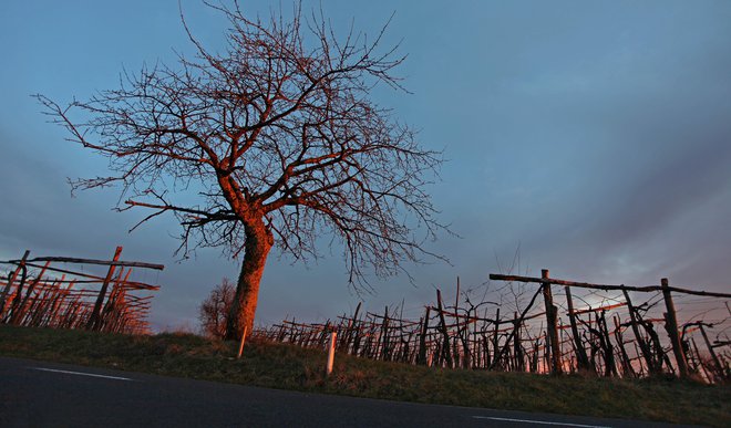 &raquo;A veš, da nastopaš v Omerzovi novi knjigi o Dragi/Karli? Imeli so te za sumljivo osebo, ki skozi svojo knjižnico dopušča &#39;provokacije&#39; zamejcev&nbsp;...&laquo; FOTO: Matej Družnik