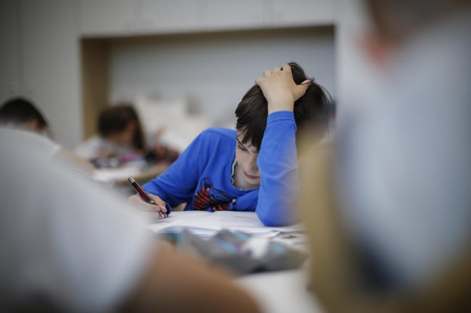 Da se razprava o šolskem sistemu vrti le o sofinanciranju zasebnega šolstva, je izraz popolnega nerazumevanja sveta, v katerem živimo. FOTO: Uroš Hočevar