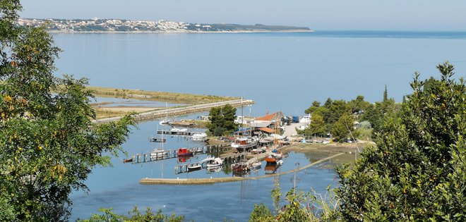 Pogled na ustje Jernejevega kanala, ki kar kliče po ureditvi. V ospredju je škver s starimi lesenjačami, za njim pa je skrit ribiški pristan. Foto Boris Šuligoj