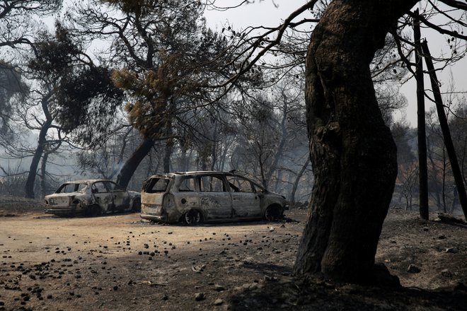 V torek je gasilcem uspelo zajeziti požar na otoku Tasos. FOTO: Costas Baltas/Reuters