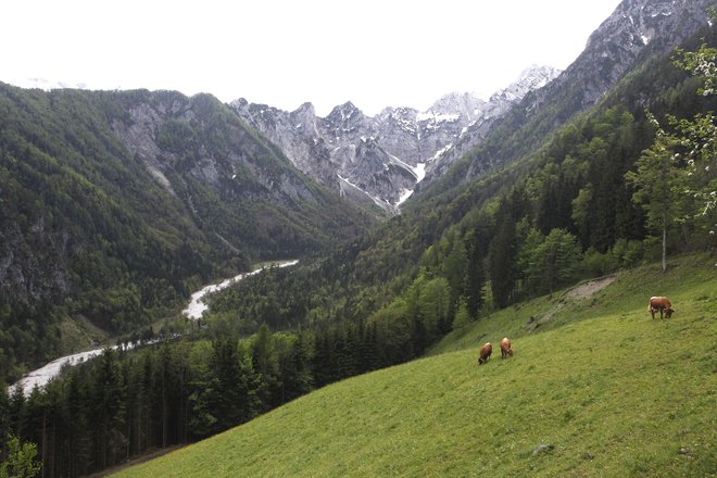 Matkov kot je najodročnejša dolina. FOTO: Mavric Pivk