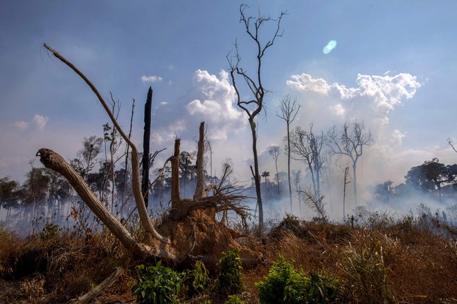 Edini konkretni sporazum, ki so ga sklenili, je bil sporazum o 22 milijonih dolarjev pomoči za boj proti požarom v amazonskih pragozdovih. FOTO: Joao Laet/AFP