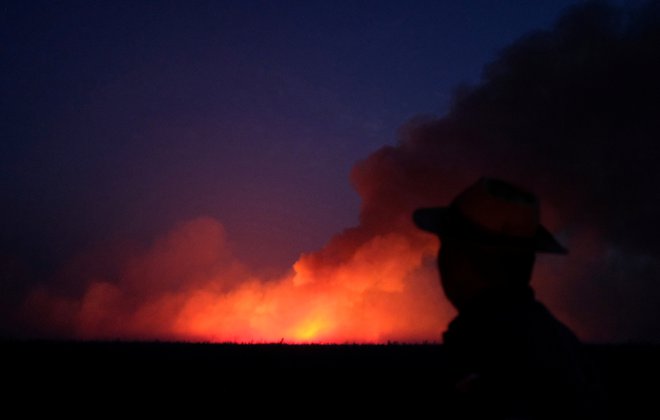 Letos so na območju Brazilije zabeležili okoli 80.000 požarov, od tega polovico na območju bazena Amazonije. FOTO: Lucas Landau/Reuters