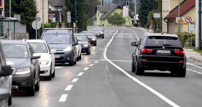 Na Lavrici ne bi imeli zožene štiripasovnice, saj bi ogrozila njihov življenjski prostor. FOTO: Roman Šipić/Delo