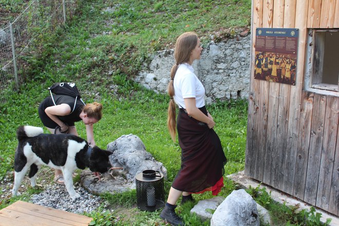 Mrzli studenec je po analizi tamkajšnjih voda najboljša voda v občini. Foto Blaž Močnik/Delo