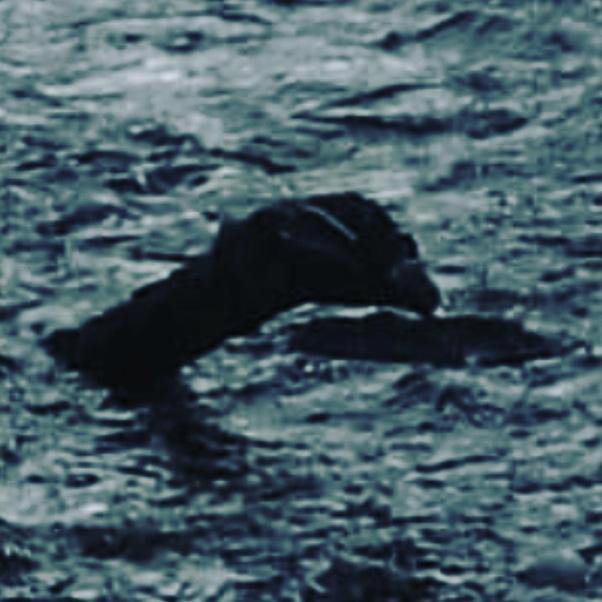 Legendarna Nessie na Škotsko vsako leto privabi več sto tisoč obiskovalcev. FOTO: Instagram