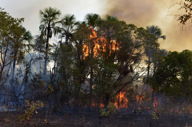 FOTO: Lucas Landau/Reuters