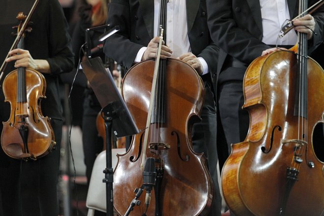 Andrej Čadež: &raquo;Zaključujem z željo, da bi o tem razmišljal tudi &raquo;orkester&laquo; ljubljanske Univerze.&laquo; Foto Mavric Pivk/delo