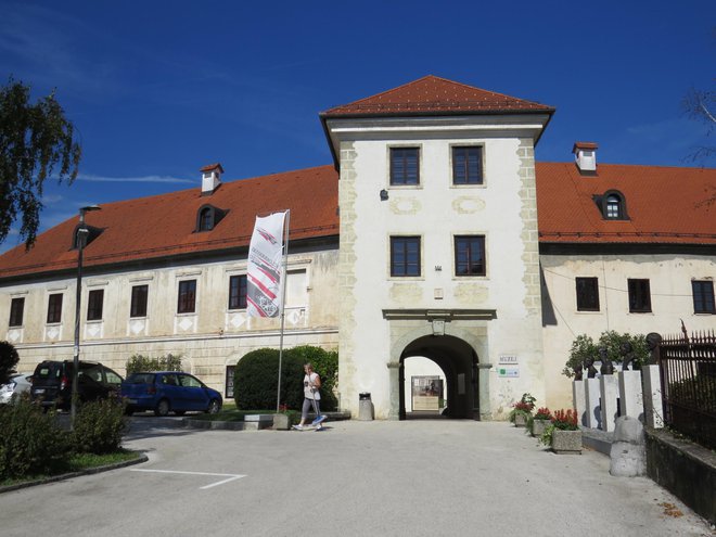 Metliški grad je bil do konca 19. stoletja v lasti Josipa Savinška. Leta 1899 je svoje premoženje prodal in lastnik se nikoli več ni vrnil v Metliko. FOTO: Bojan Rajšek/Delo