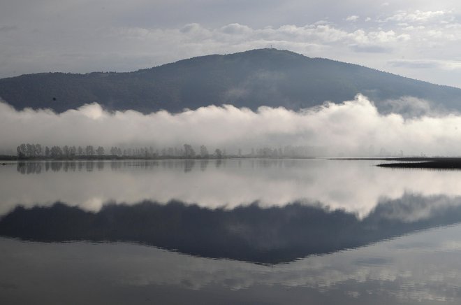 Postavimo lahko zelo verjetno domnevo, da bi zanimanje za paliativo med tistimi, ki so zanjo odgovorni, opazno upadlo, če bi razprava o končanju pojenjala. FOTO: Mavric Pivk